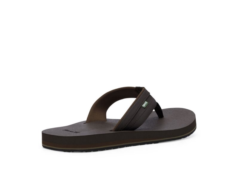 Sanuk Ziggy Water Friendly Men's Flip Flops Dark Brown | Canada 189YXF